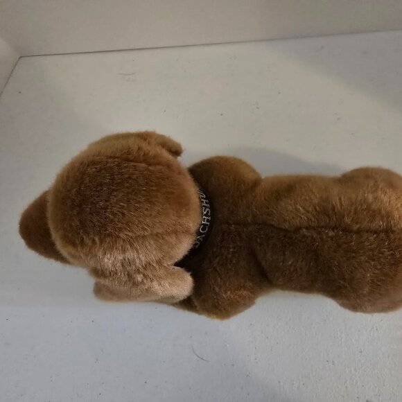 Dachshund Puppy Plush- Dog lovers - 10 inches - Picture 7 of 8